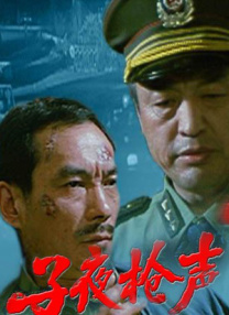 久久99国产精品成人